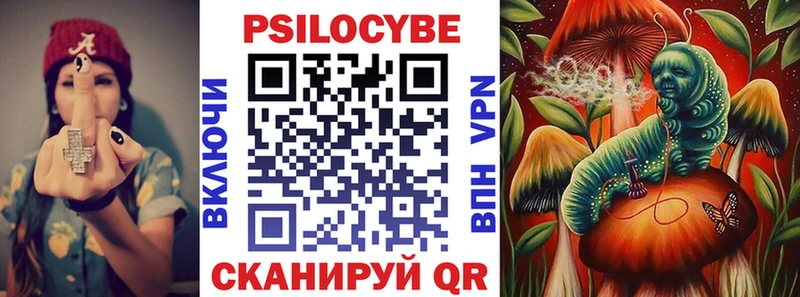shop Telegram Кодинск Псилоцибиновые грибы Cubensis